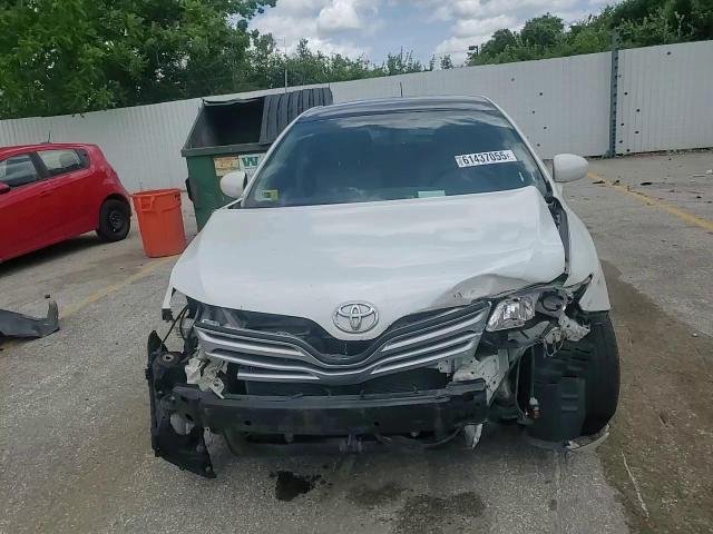 2010 Toyota Venza VIN: 4T3BK3BB6AU036369 Lot: 61437055