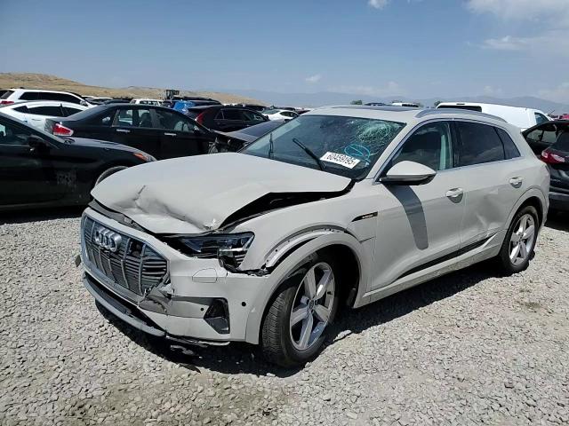 2019 Audi E-Tron Premium Plus VIN: WA1LAAGE2KB024948 Lot: 60459195