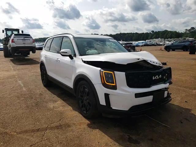 2022 Kia Telluride Ex VIN: 5XYP3DHC1NG318982 Lot: 59152325
