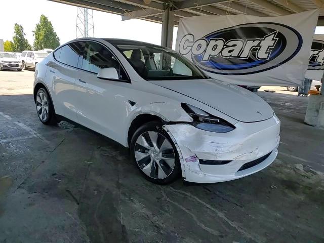2024 Tesla Model Y VIN: 7SAYGDEE1RF031673 Lot: 62934005