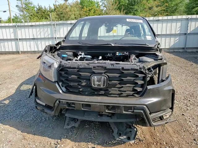 2024 Honda Passport Trail Sport VIN: 5FNYF8H64RB002082 Lot: 59617845