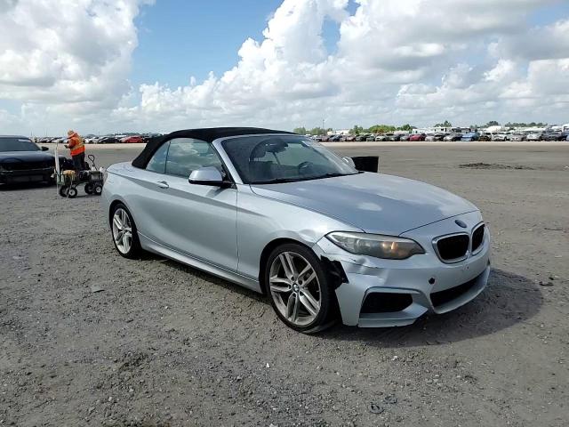 2016 BMW 228 I Sulev VIN: WBA1K9C57GV711036 Lot: 62097135