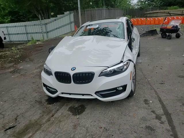 2016 BMW 228 Xi Sulev VIN: WBA1G9C59GV599146 Lot: 59822205