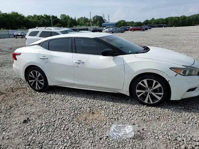 2016 Nissan Maxima 3.5S VIN: 1N4AA6AP6GC443560 Lot: 61937245