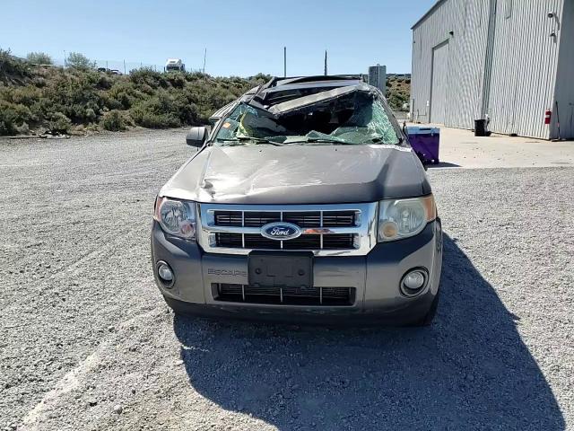 2010 Ford Escape Xlt VIN: 1FMCU9DG8AKA87399 Lot: 61269445