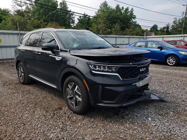 2022 Kia Sorento S VIN: KNDRGDLG8N5122764 Lot: 59481655