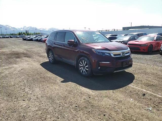 2019 Honda Pilot Exl VIN: 5FNYF6H57KB091101 Lot: 60571505