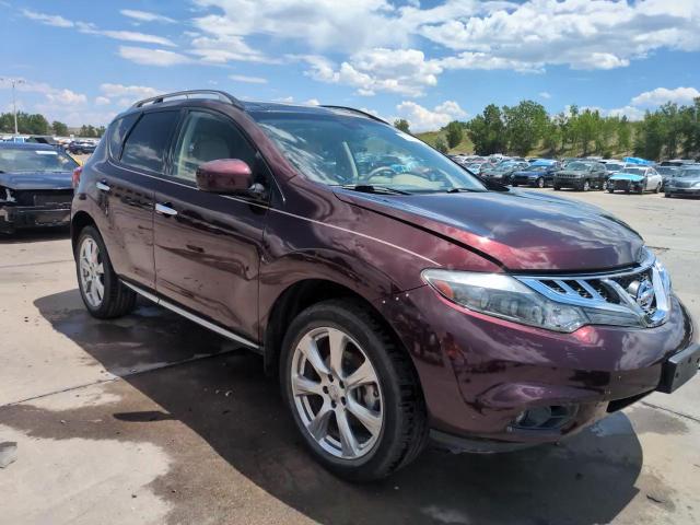 2013 Nissan Murano S VIN: JN8AZ1MWXDW313109 Lot: 62343585