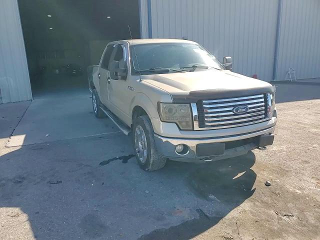 2010 Ford F150 Supercrew VIN: 1FTFW1EV0AFD74027 Lot: 60796185