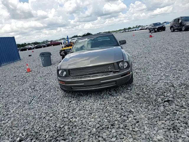 2005 Ford Mustang VIN: 1ZVFT84N555215001 Lot: 61993435