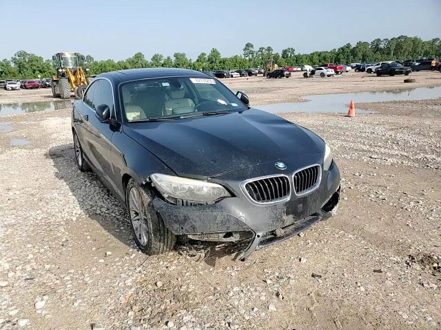 2016 BMW 228 I Sulev VIN: WBA1F9C5XGV545096 Lot: 62770235