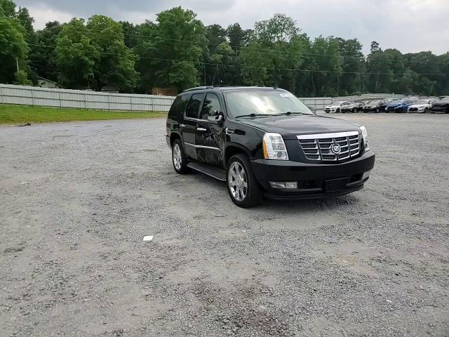 2011 Cadillac Escalade Luxury VIN: 1GYS3BEF3BR134289 Lot: 59711595