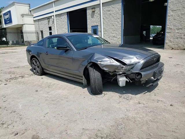 2014 Ford Mustang VIN: 1ZVBP8AM9E5202508 Lot: 63025315