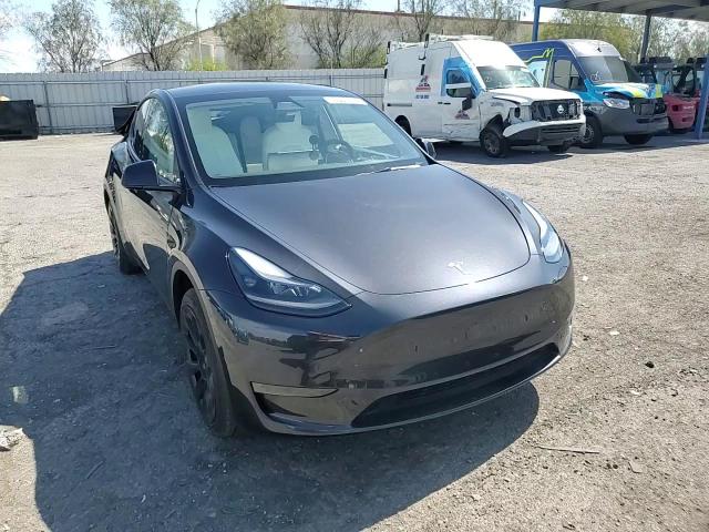2024 Tesla Model Y VIN: 7SAYGDED5RF038259 Lot: 59727645