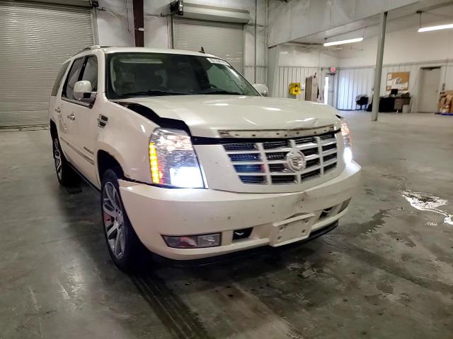 2009 Cadillac Escalade Luxury VIN: 1GYFK23299R206269 Lot: 62164745