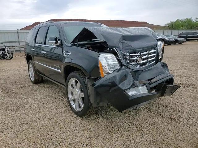 2011 Cadillac Escalade Premium VIN: 1GYS4CEF9BR119220 Lot: 60412005