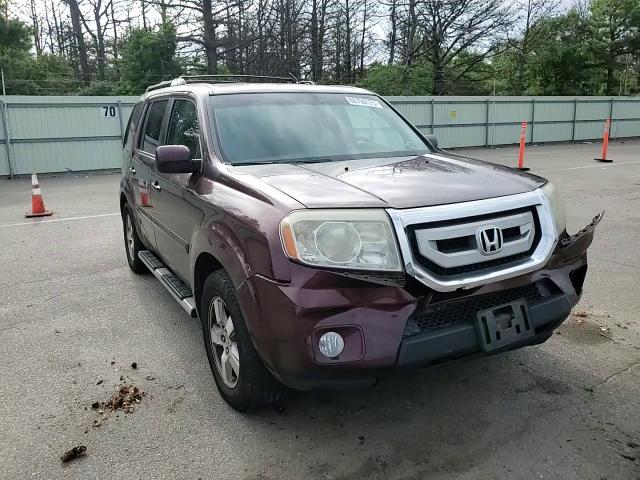 2009 Honda Pilot Exl VIN: 5FNYF48529B017504 Lot: 62790175