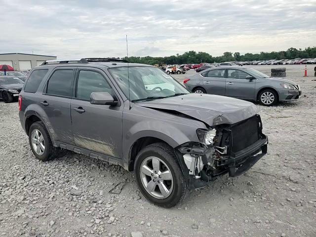 2011 Ford Escape Limited VIN: 1FMCU0EG5BKA81538 Lot: 62834985