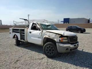 2005 GMC Sierra C2500 Heavy Duty VIN: 1GDHC24U65E334803 Lot: 60346323