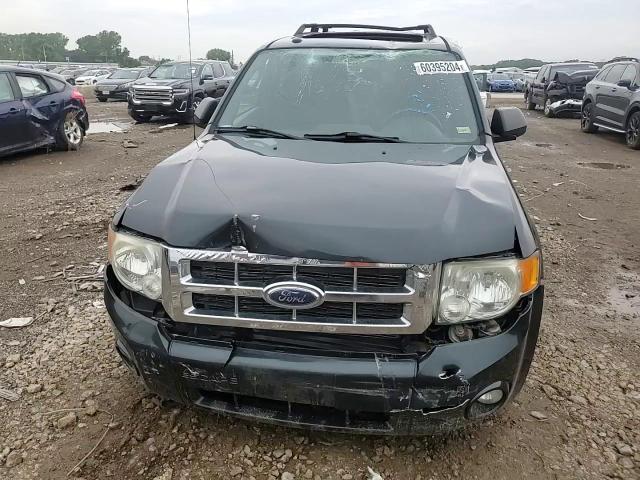 2009 Ford Escape Xlt VIN: 1FMCU93G09KC03448 Lot: 60395204