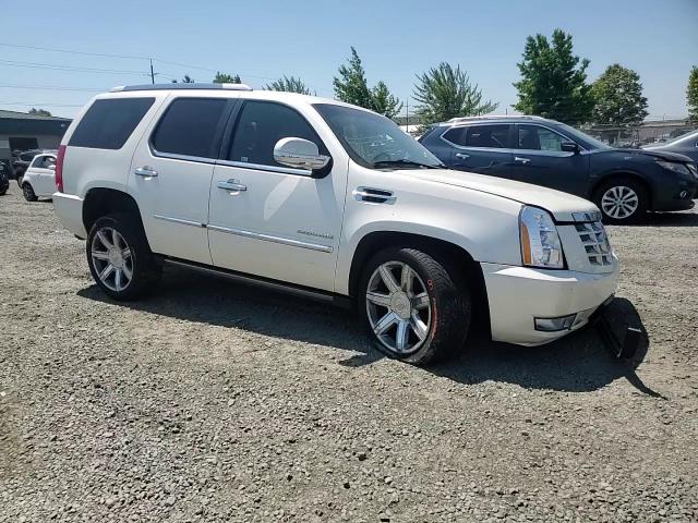 2010 Cadillac Escalade Premium VIN: 1GYUKCEF1AR228719 Lot: 63225204