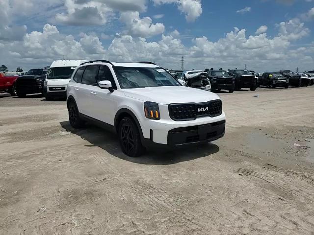 2024 Kia Telluride Ex VIN: 5XYP3DGC3RG416760 Lot: 65258464