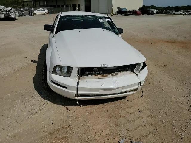 2006 Ford Mustang VIN: 1ZVFT80N165227184 Lot: 49333245