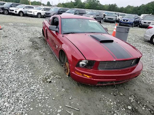 2009 Ford Mustang VIN: 1ZVHT80N095138610 Lot: 64232354