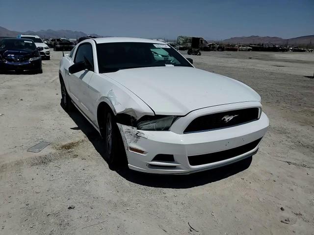 2013 Ford Mustang VIN: 1ZVBP8AM9D5251495 Lot: 65517734