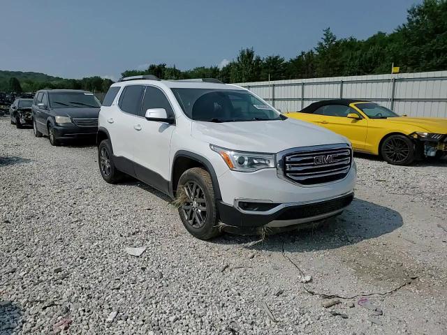 2017 GMC Acadia Slt-1 VIN: 1GKKNMLS1HZ196024 Lot: 64664624