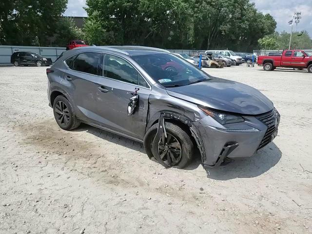 2020 Lexus Nx 300 VIN: JTJGARDZ9L2228724 Lot: 62430344