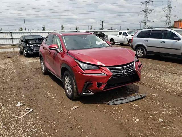2021 Lexus Nx 300 Base VIN: JTJDARDZXM5019804 Lot: 62607554