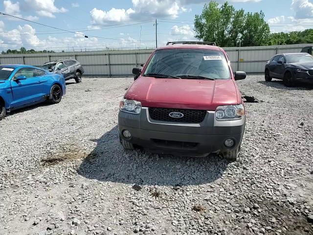 2006 Ford Escape Xlt VIN: 1FMYU031X6KD25033 Lot: 61920054