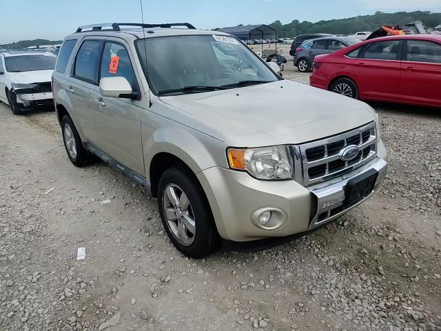 2010 Ford Escape Limited VIN: 1FMCU0EG0AKA44475 Lot: 62364764