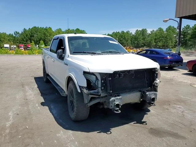 2019 Ford F150 Supercrew VIN: 1FTEW1E44KFC77384 Lot: 62448754