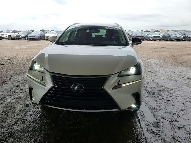 2020 Lexus Nx 300 Base VIN: JTJAARBZ5L2161015 Lot: 64170344