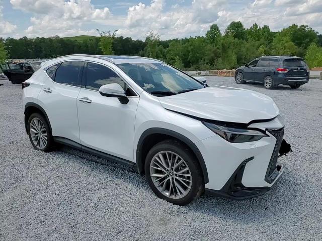 2T2HGCEZ3RC032396 2024 Lexus Nx 350 Luxury