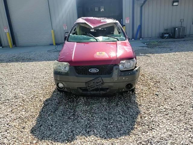 2007 Ford Escape Xlt VIN: 1FMCU031X7KB06567 Lot: 61941534