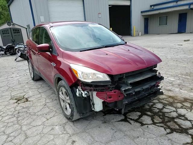 2014 Ford Escape Se VIN: 1FMCU9G91EUB66159 Lot: 63384884