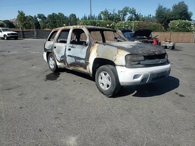 2003 Chevrolet Trailblazer VIN: 1GNDS13S532375770 Lot: 65260914