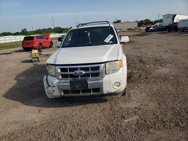 2010 Ford Escape Limited VIN: 1FMCU0EG0AKC65607 Lot: 61474874