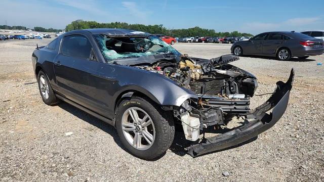 2013 Ford Mustang VIN: 1ZVBP8AM7D5209259 Lot: 63383035