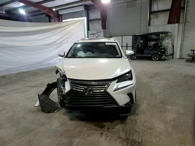 2021 Lexus Nx 300 Base VIN: JTJDARDZ2M5025872 Lot: 62238915