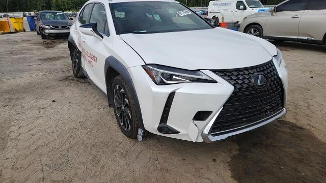 2020 Lexus Ux 200 VIN: JTHP3JBH9L2026473 Lot: 61216655