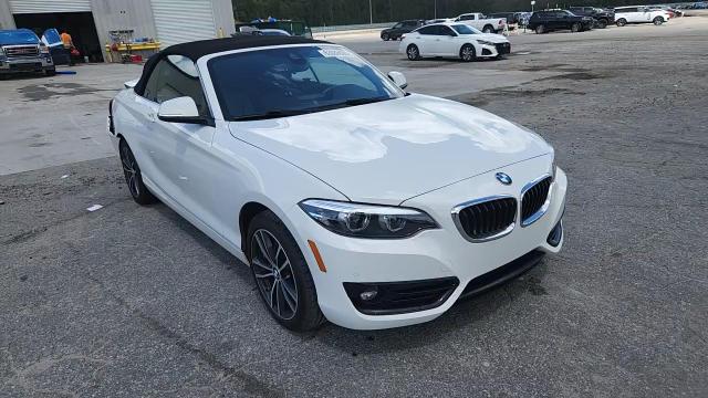 2019 BMW 230I VIN: WBA2M7C57KVD52236 Lot: 63889605
