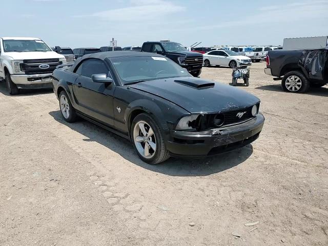2009 Ford Mustang Gt VIN: 1ZVHT85H795126585 Lot: 64639495