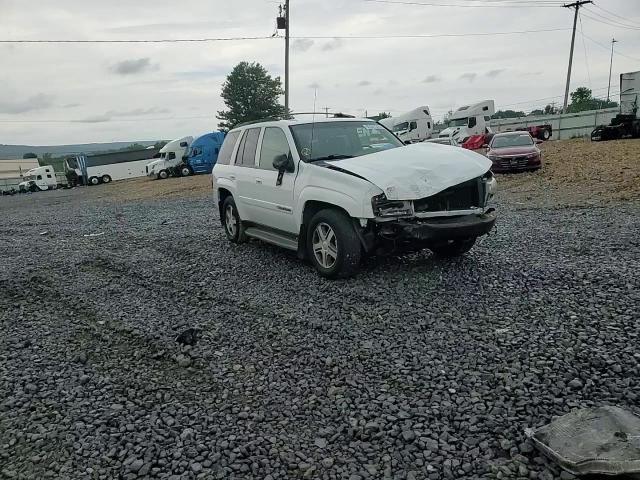 2004 Chevrolet Trailblazer Ls VIN: 1GNDT13S442203566 Lot: 65597315