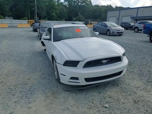 2014 Ford Mustang VIN: 1ZVBP8AM3E5232300 Lot: 65156355