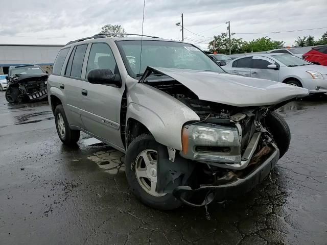 2003 Chevrolet Trailblazer VIN: 1GNDT13S232388196 Lot: 63924415