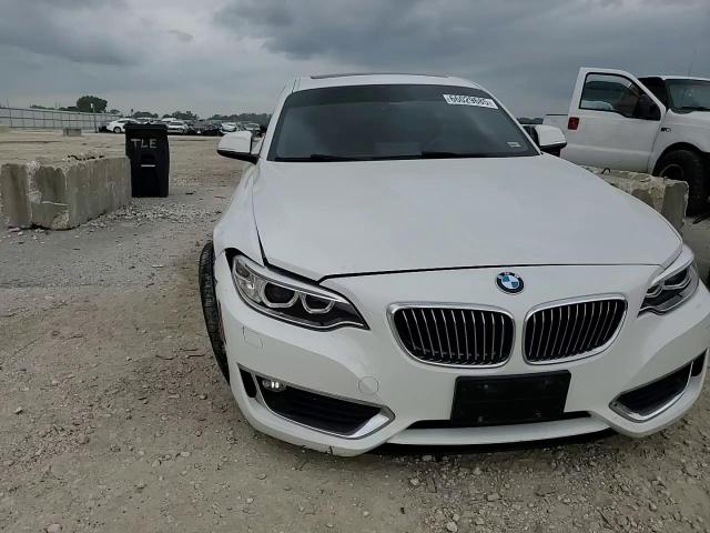 2017 BMW 230Xi VIN: WBA2H9C57HV642059 Lot: 66029685